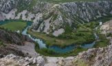 Park narave velebit center endemizma