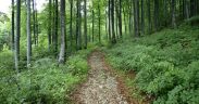 Park narave ucka