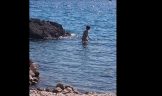 Fkk plaza tomazevo krk hrvaska