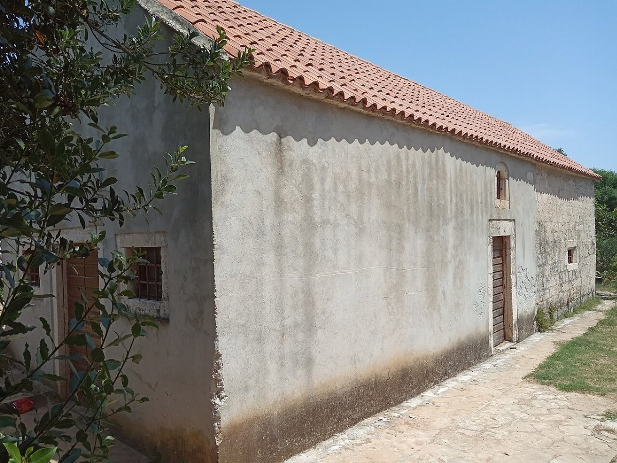 Cerkev marijinega rojstva prvic luka